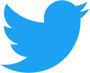 Twitter bird icon.png
