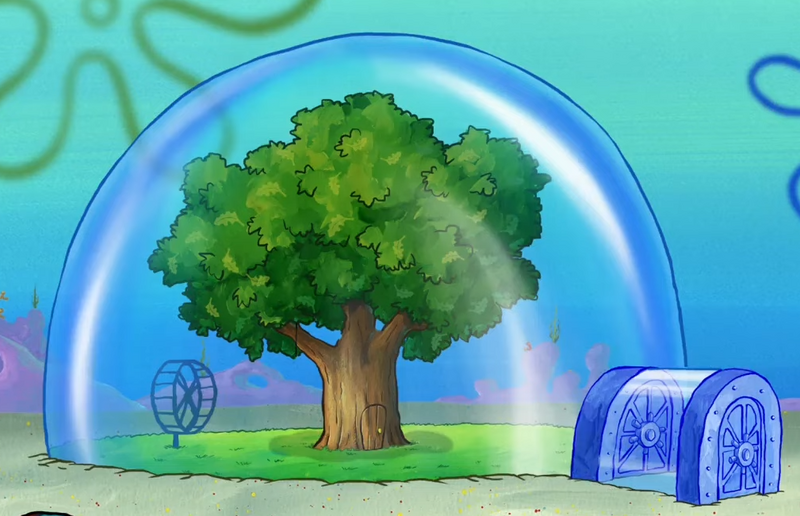 File:Sandy's treedome.png