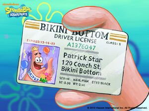 License.jpg