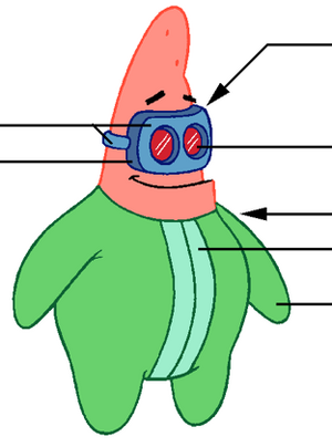 Elastic Waistband Model Pose.png